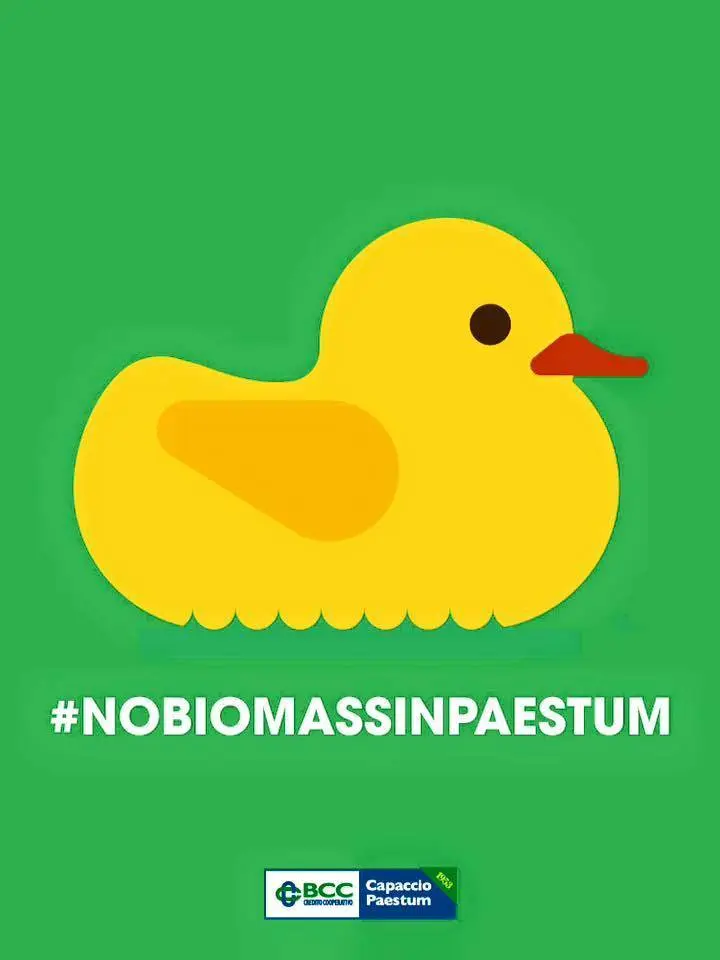 papera_biomasse