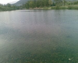 Fiume Bussento