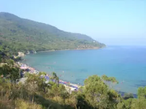 Trentova