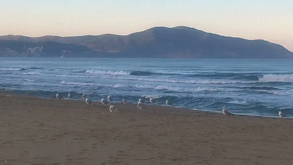 Capaccio spiaggia