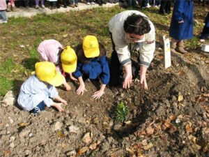 Festa degli Alberi