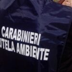 Carabinieri NOE