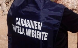 Carabinieri NOE