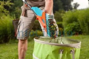 Manutenzione verde
