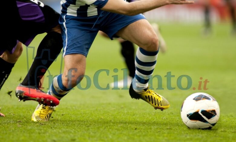 Campo calcio