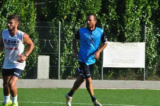 Cardinale roberto