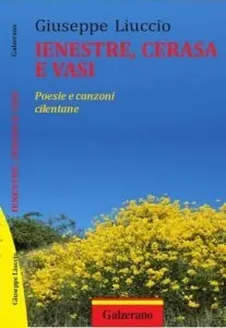 liuccio_libri