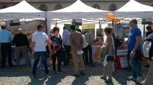 morigerati_stand