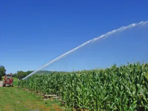 Irrigazione