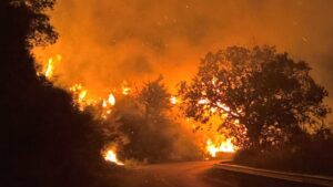 incendi rocca cilento 2