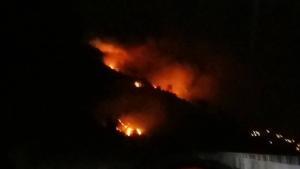 montecorice incendio 2