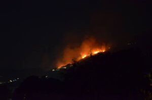 montecorice incendio 3