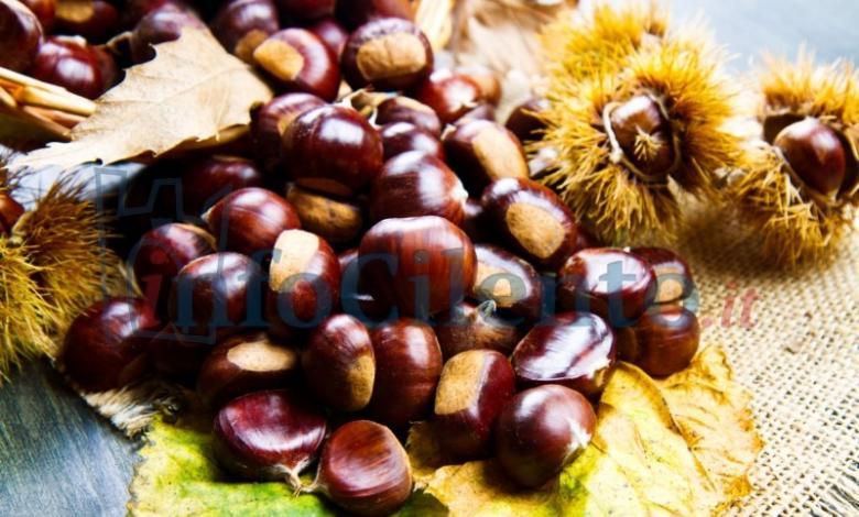 Castagne