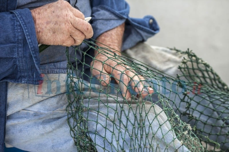 Castellabate, opportunità di formazione per operatori del settore pesca - Info Cilento