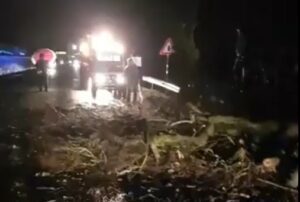 Tragedia sfiorata: forte vento, albero cade sulla statale