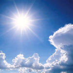 Sole