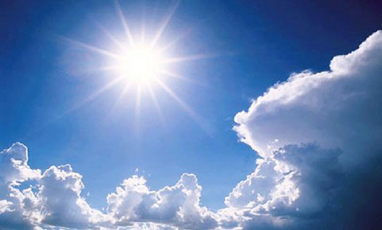 Sole