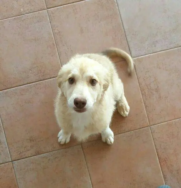 foto2
