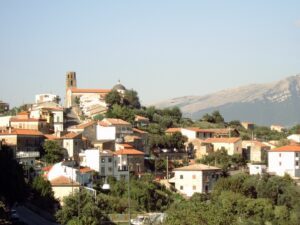 Panorama Perito