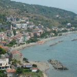 Pioppi