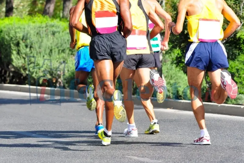 Maratona