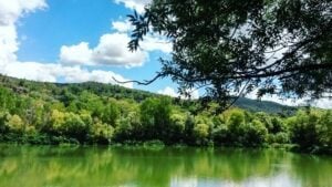 Oasi Fiume Alento