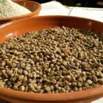Maracucciata