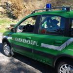 Carabinieri forestali