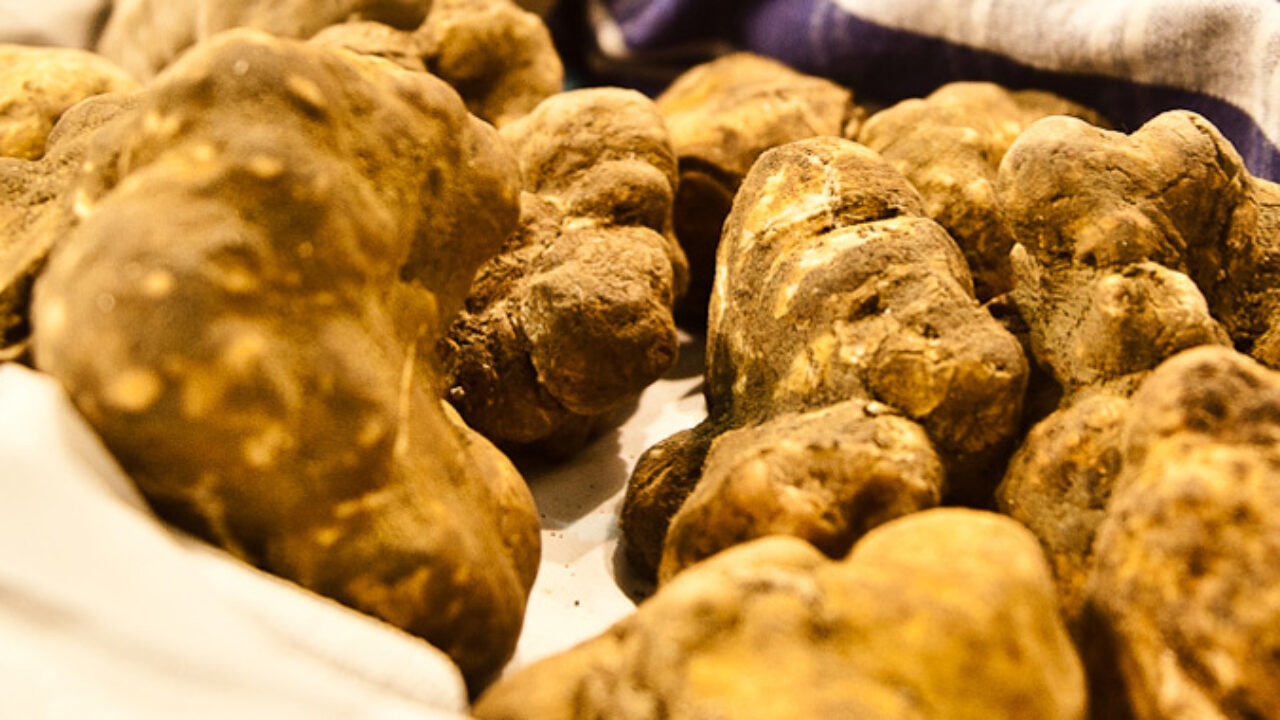 Siccita Cala La Produzione Di Tartufo E Si Alzano I Prezzi La