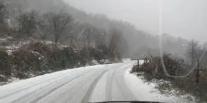 Neve