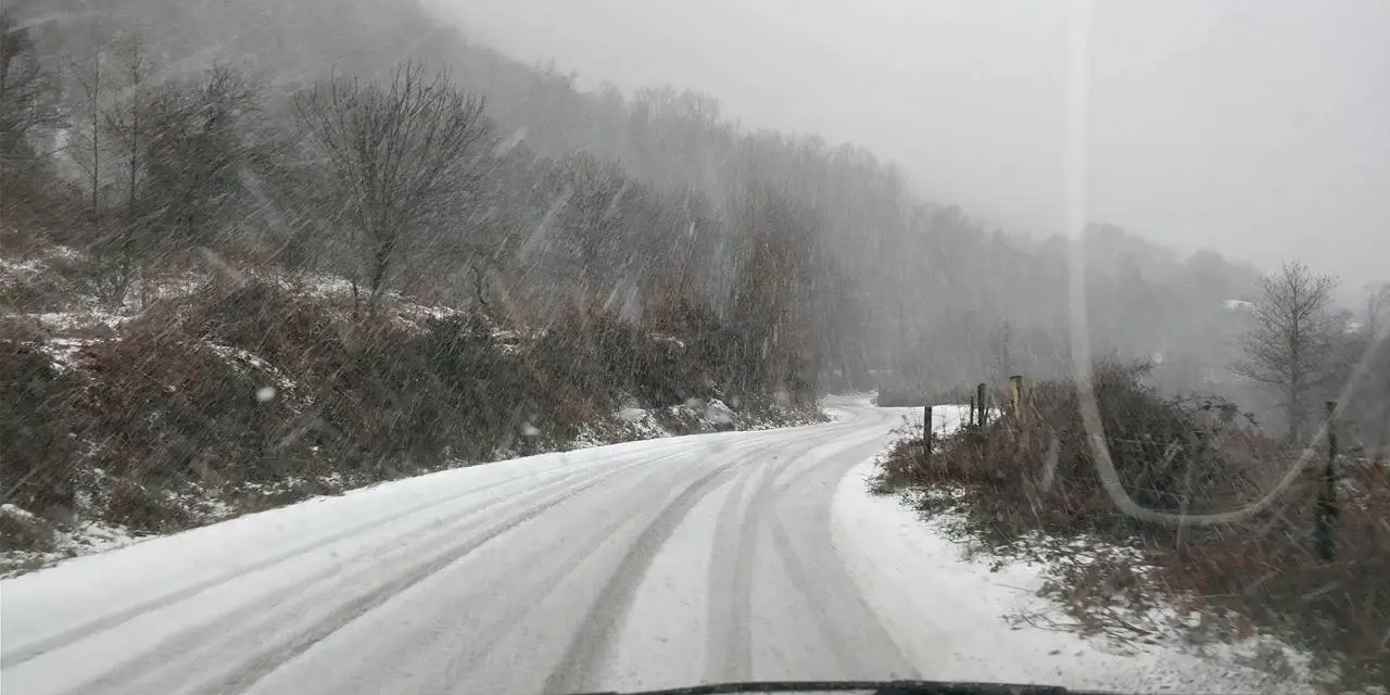 Neve