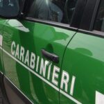 Carabinieri forestali