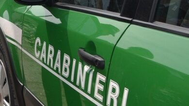 Carabinieri forestali