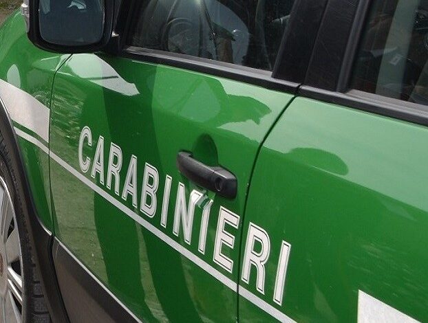 Carabinieri forestali