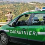 Carabinieri forestali