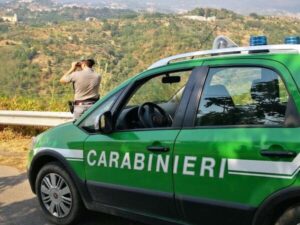 Carabinieri forestali