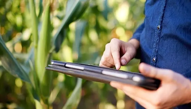 Agricoltura