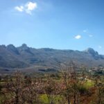 Petina
