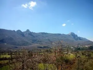 Petina