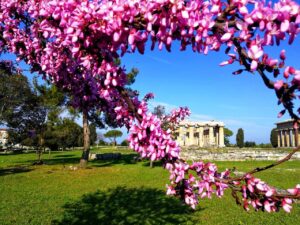 Pasqua