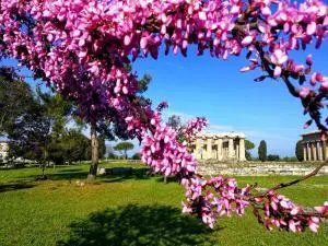 Pasqua