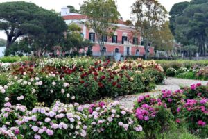 Villa Matarazzo Castellabate