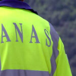 Anas