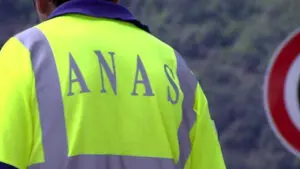 Anas