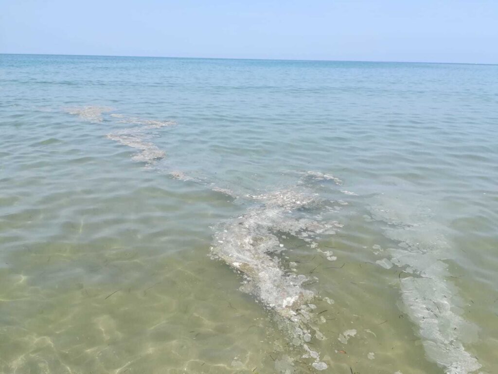Mare sporco