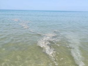 Mare sporco
