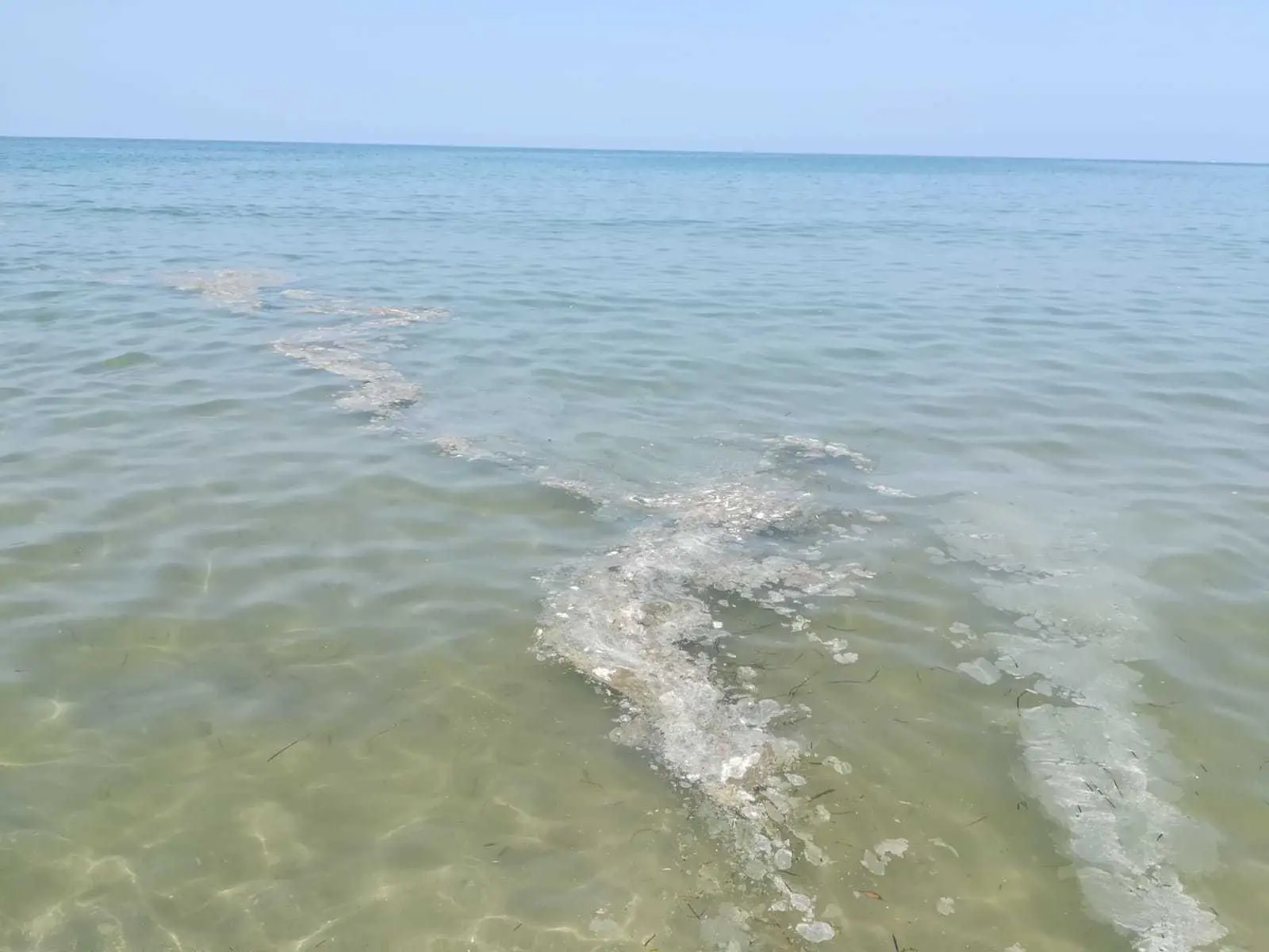 Mare sporco
