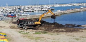 Posidonia spiaggiata Porto Agropoli