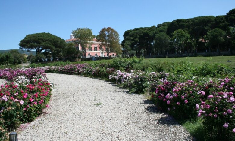 Villa Matarazzo
