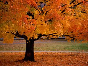 Settembre